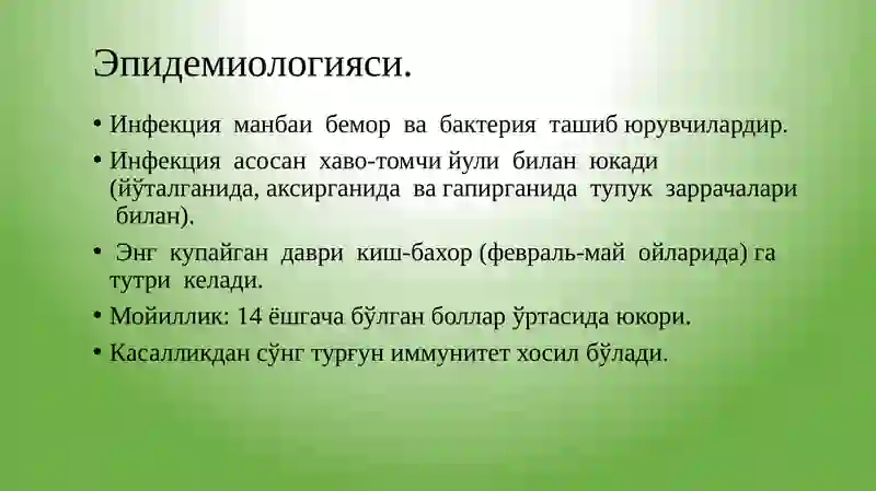 Preview 4
