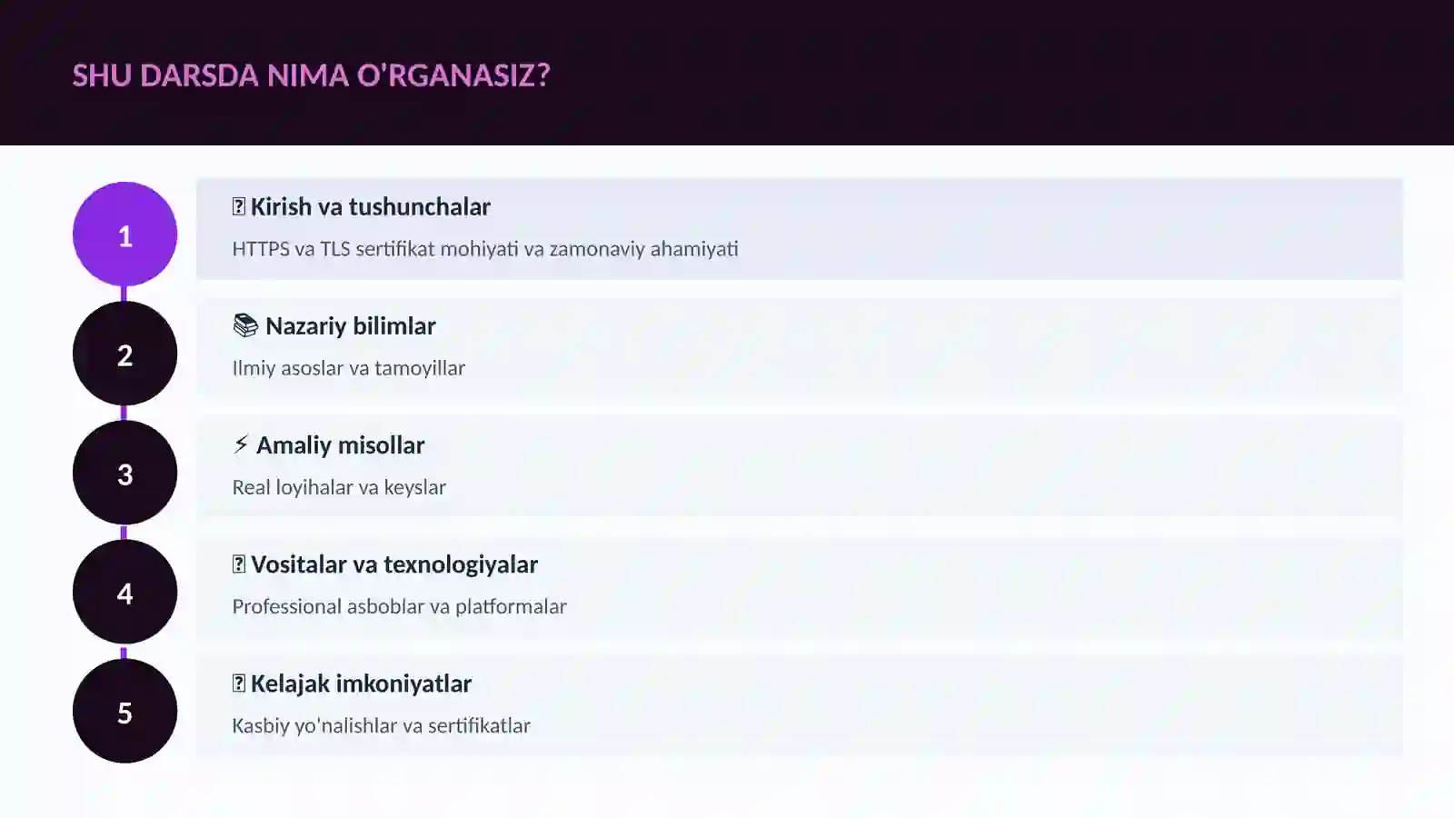 HTTPS va TLS sertifikat 4
