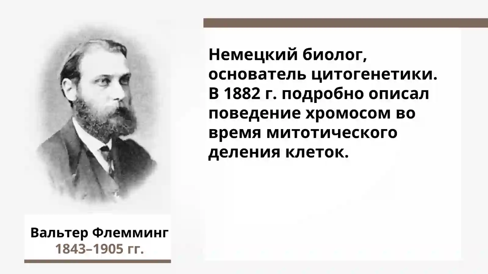 ХРОМОСОМНАЯ ТЕОРИЯ НАСЛЕДСТВЕННОСТИ 4