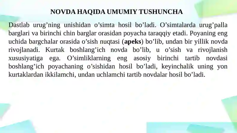 Novda 4