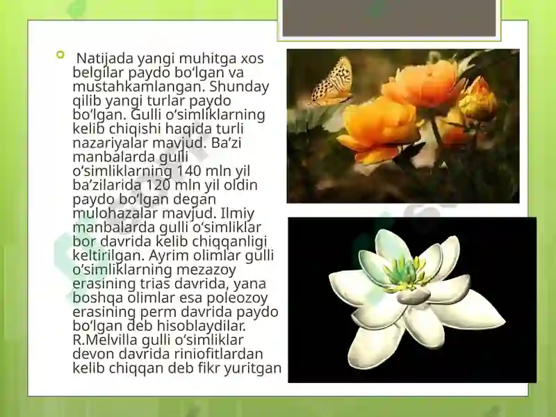 Preview 5