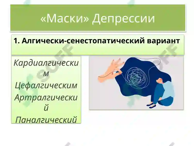 Preview 5