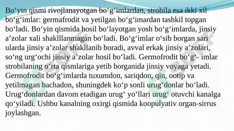TASMASIMON (LЕNTASIMON) CHUVALCHANGLAR 5