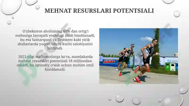 Preview 5