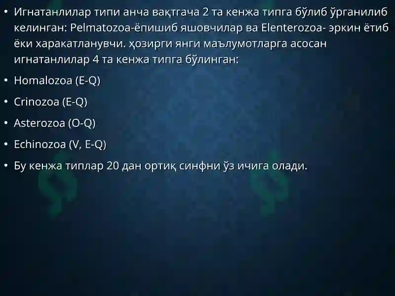 Preview 5
