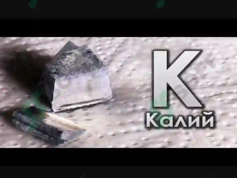 Kaliy elementini tirik organizimdagi ahamiyati 5