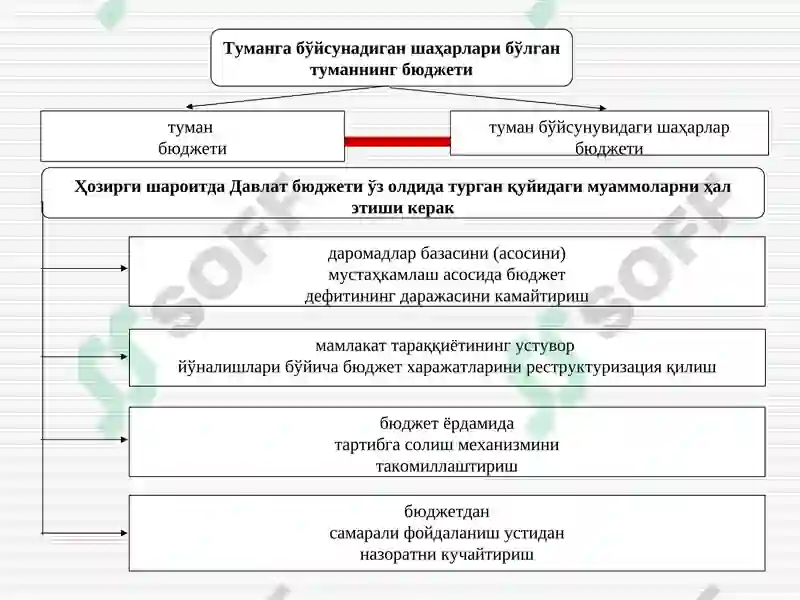 Молия тизими 5