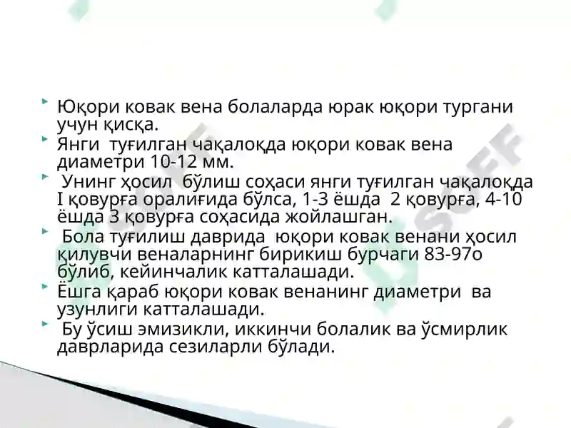 Preview 5