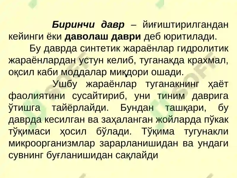 Картошка ва полиз маҳсулотларини сақлаш технологияси 5