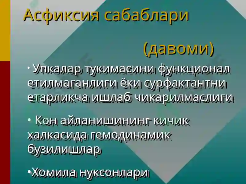 Preview 5
