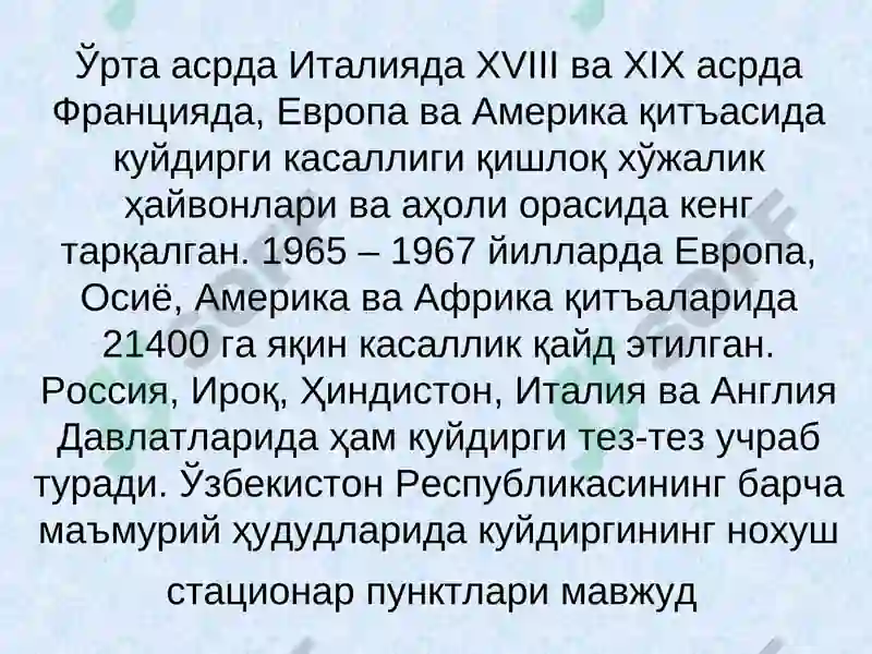 Kuydirgi (Anthrax) 5