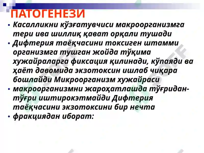 Preview 5