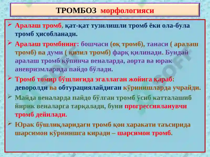 Preview 5