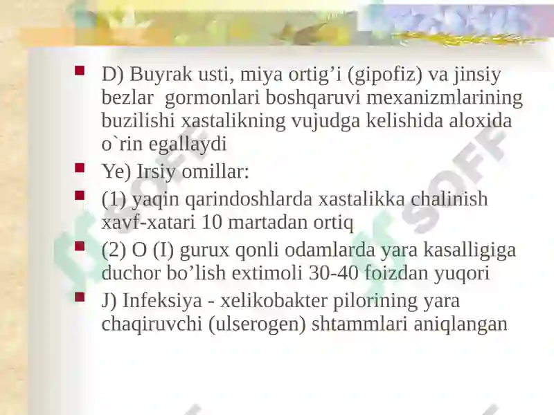 Preview 5
