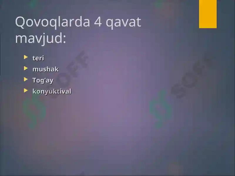 Preview 5