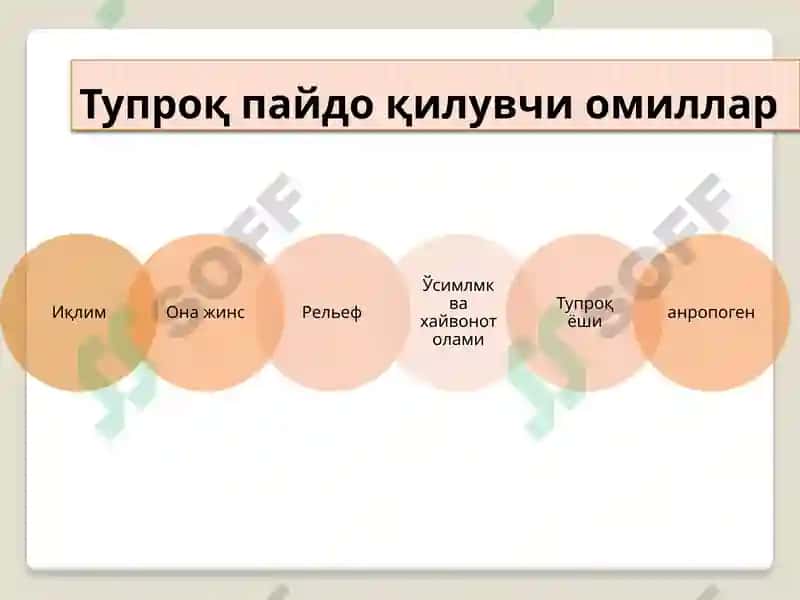ТУПРОҚ ПАЙДО БЎЛИШ ЖАРАЁНЛАРИНИНГ УМУМИЙ СХЕМАСИ 5