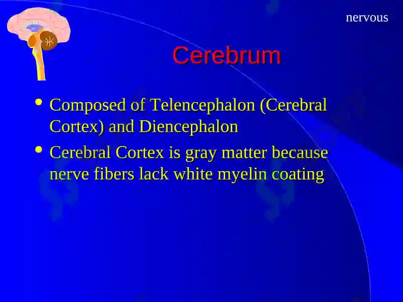 The Nervous System 5