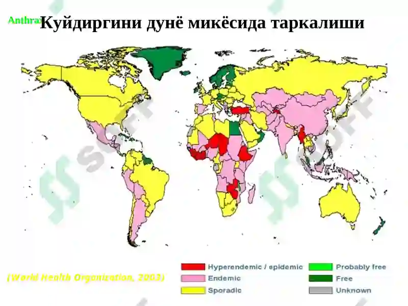 Куйдирги (Bacillus anthracis) 5