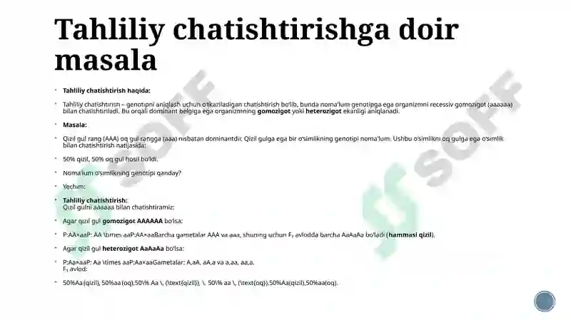 Preview 5