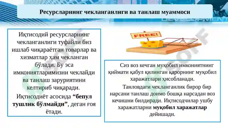 Preview 6