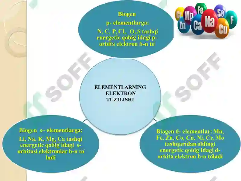 Biogen Elementlar Kimyosi 6