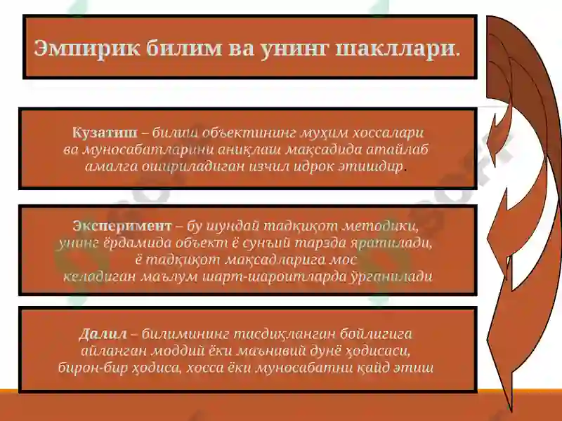 Preview 6