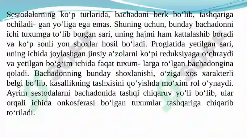 TASMASIMON (LЕNTASIMON) CHUVALCHANGLAR 6