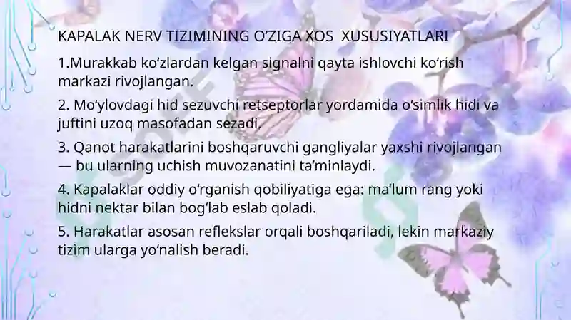 Preview 6
