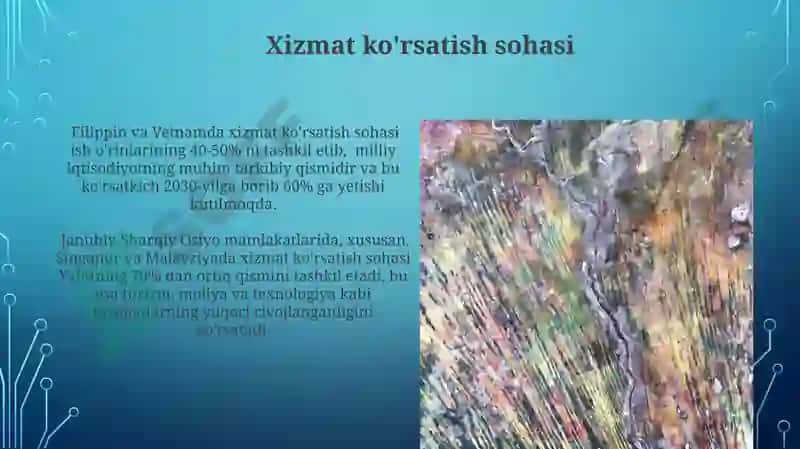 Janubiy -sharqiy osiyo mamlakatlariga iqtisodiy geografik tavsif 6