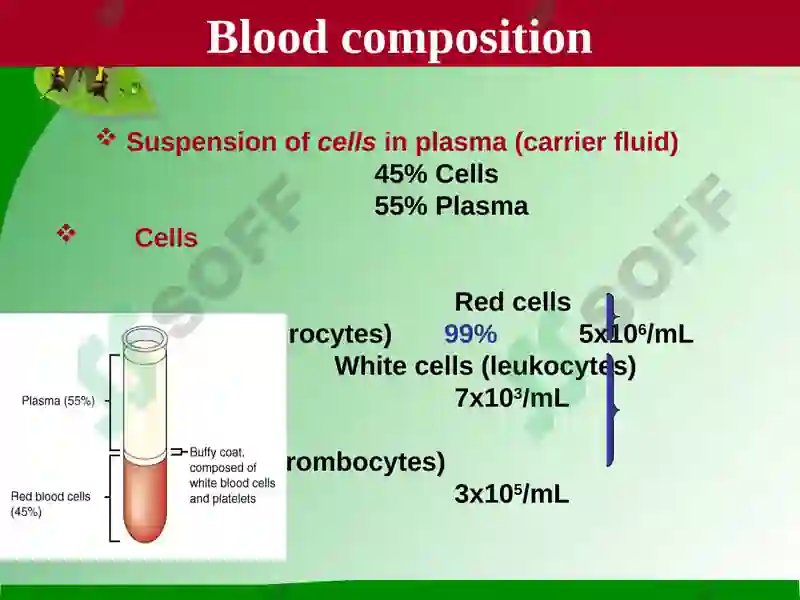 Blood 6