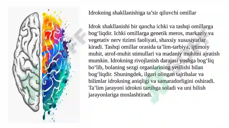 Preview 6
