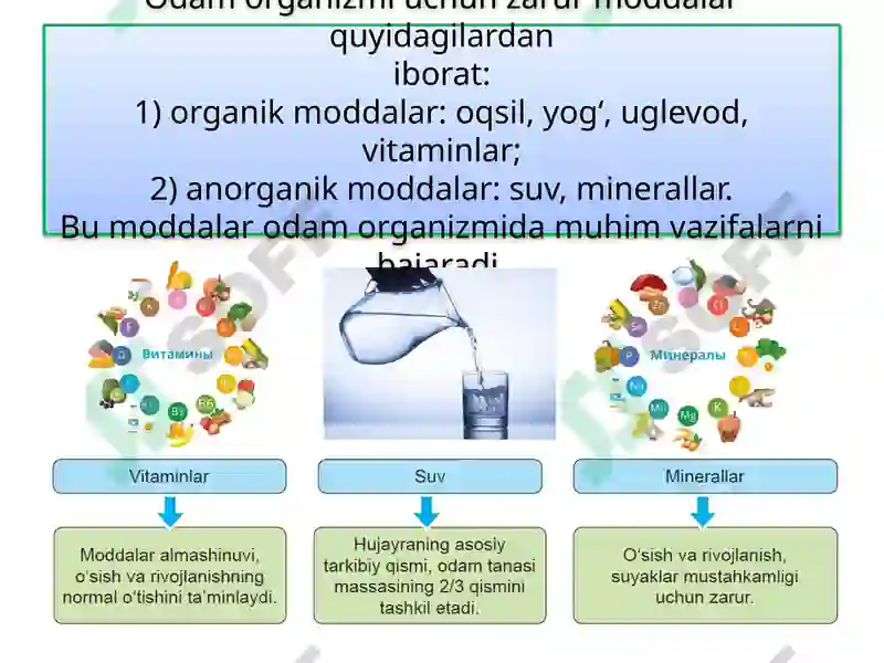ODAMNING OVQAT HAZM QILISH SISTEMASI 6