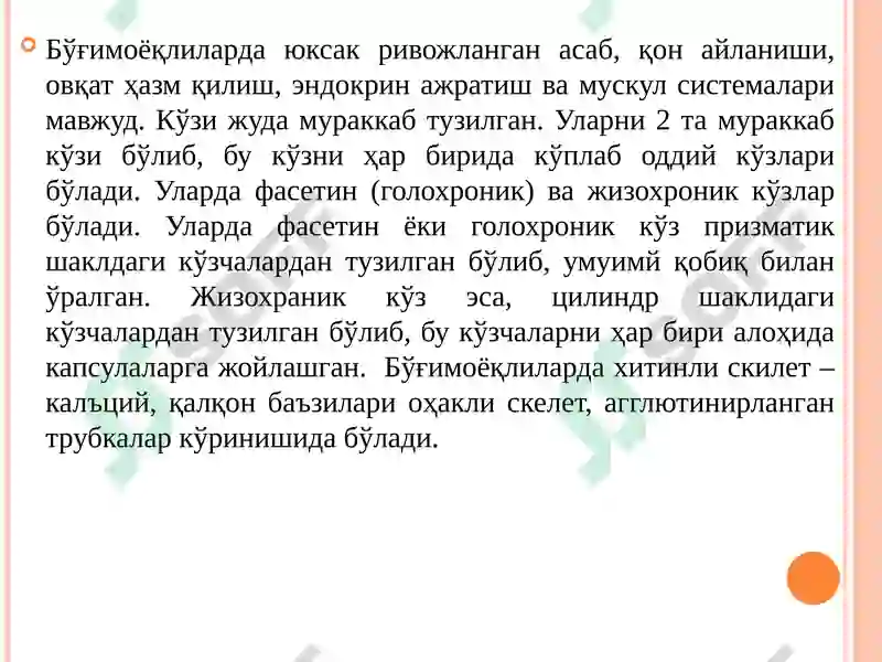 Preview 6