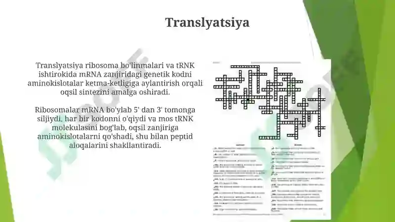 Preview 6