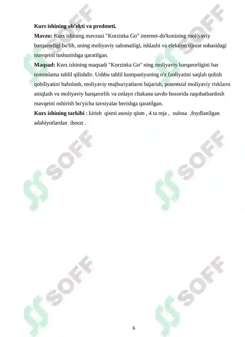 "Korzinka Go" Internet Do'konining Moliyaviy Barqarorlik Tahlili 6