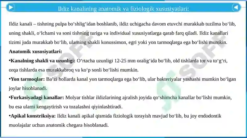 Preview 6