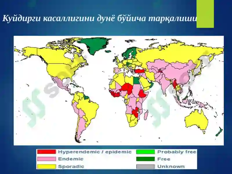 Куйдирги 6