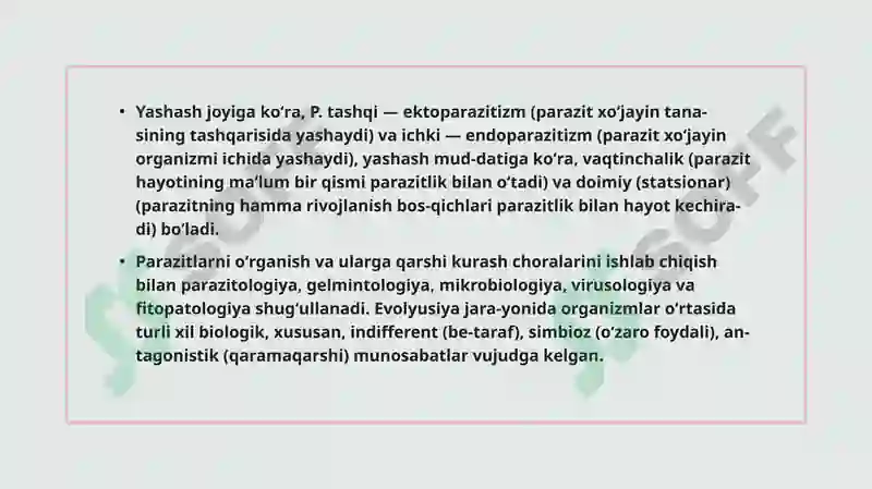 Preview 6