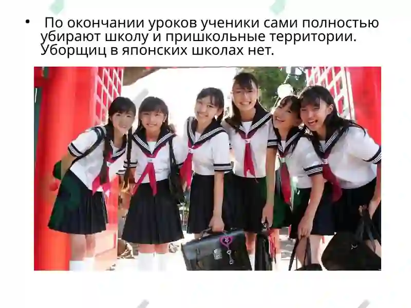 Образование в России 7
