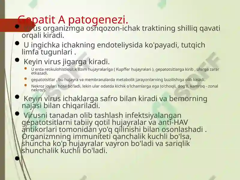 Gepatit A 7