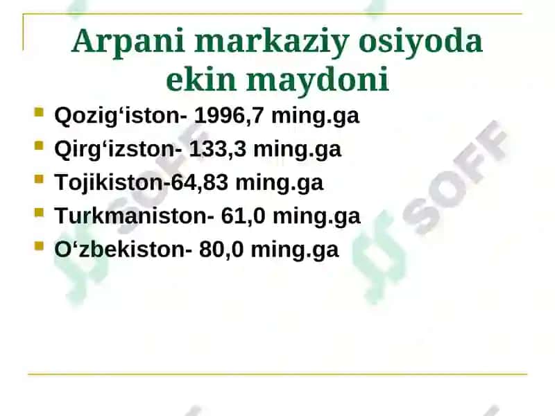 MAVZU.ARPA BIOLOGIYASI VA YETISHTIRISH TEXNOLOGIYASI 7