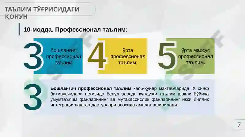 TA'LIM TO'G'RISIDA QONUN 7