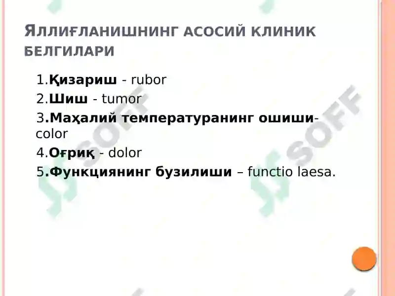 Preview 7