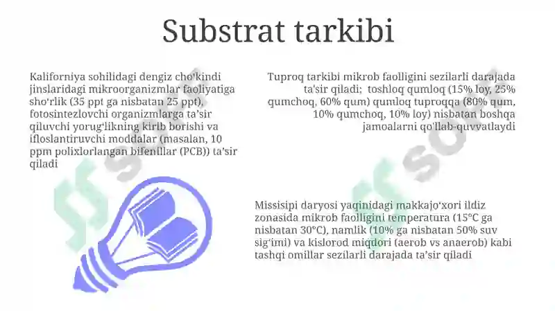 Preview 7