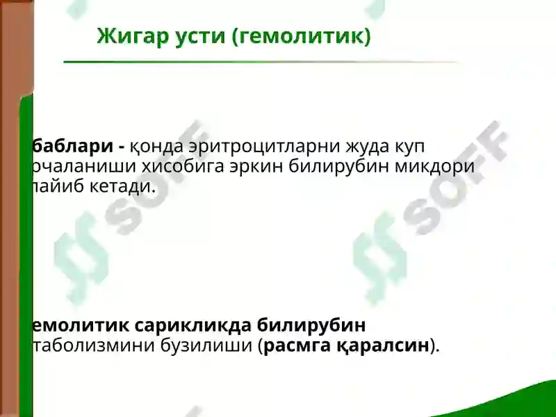 Preview 7