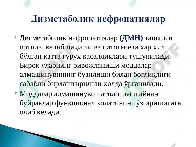 Preview 7
