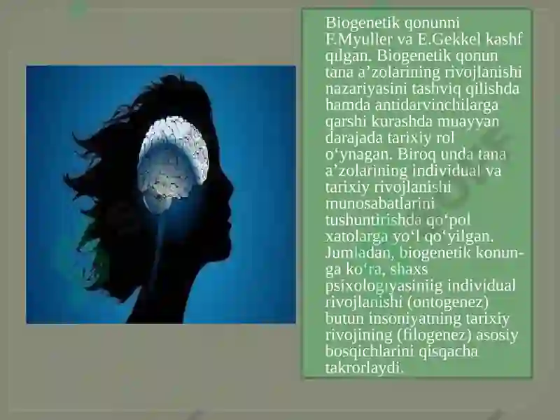 Preview 7
