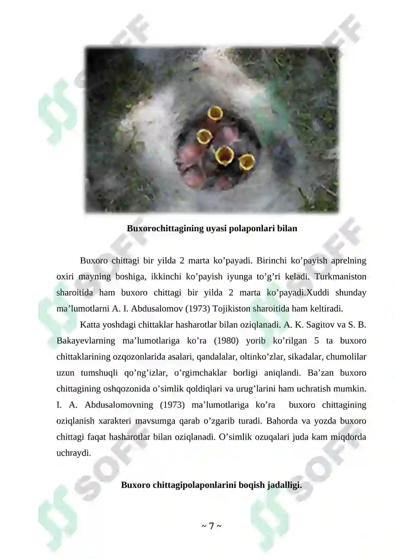 Qushlar sinfi Kurs ishi 7