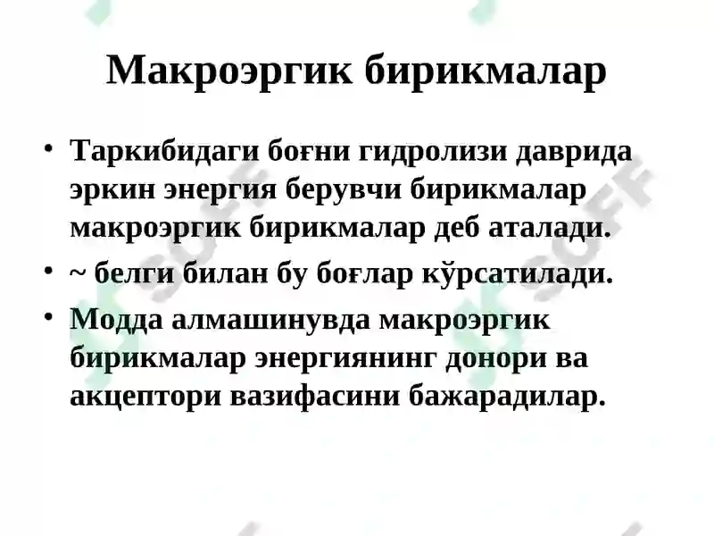 Preview 7