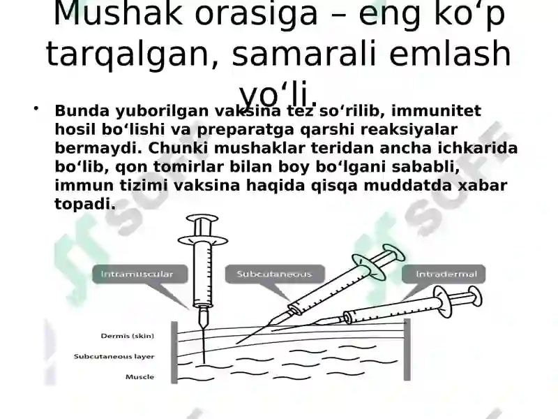 Preview 7